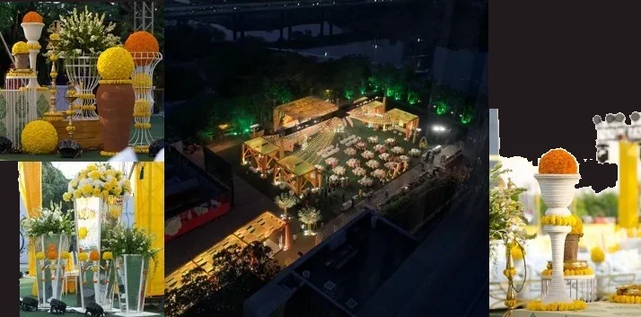 Mahadik’s: The garden from above