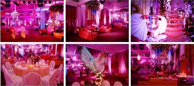 Mittal’s: Fuchsia celebration